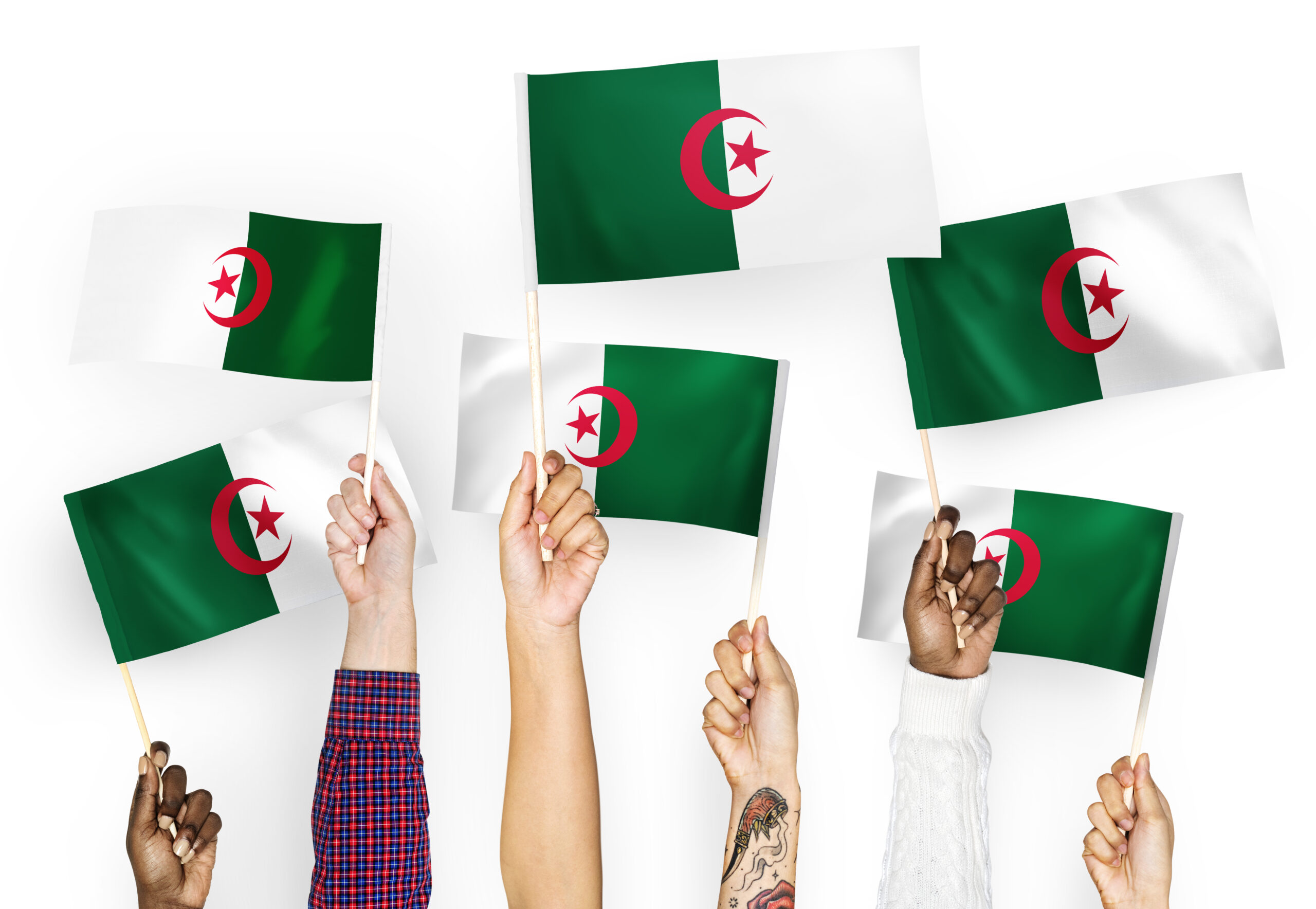 Tchat algerien